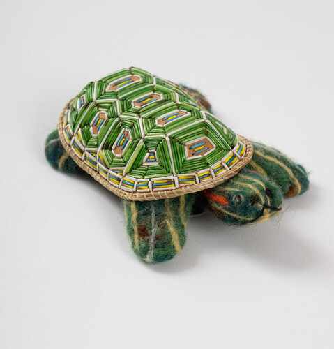 Green Turtle